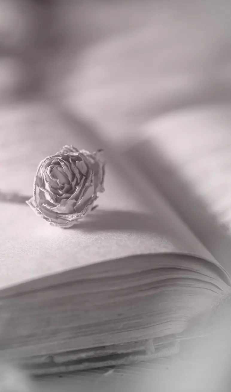 Слова любви